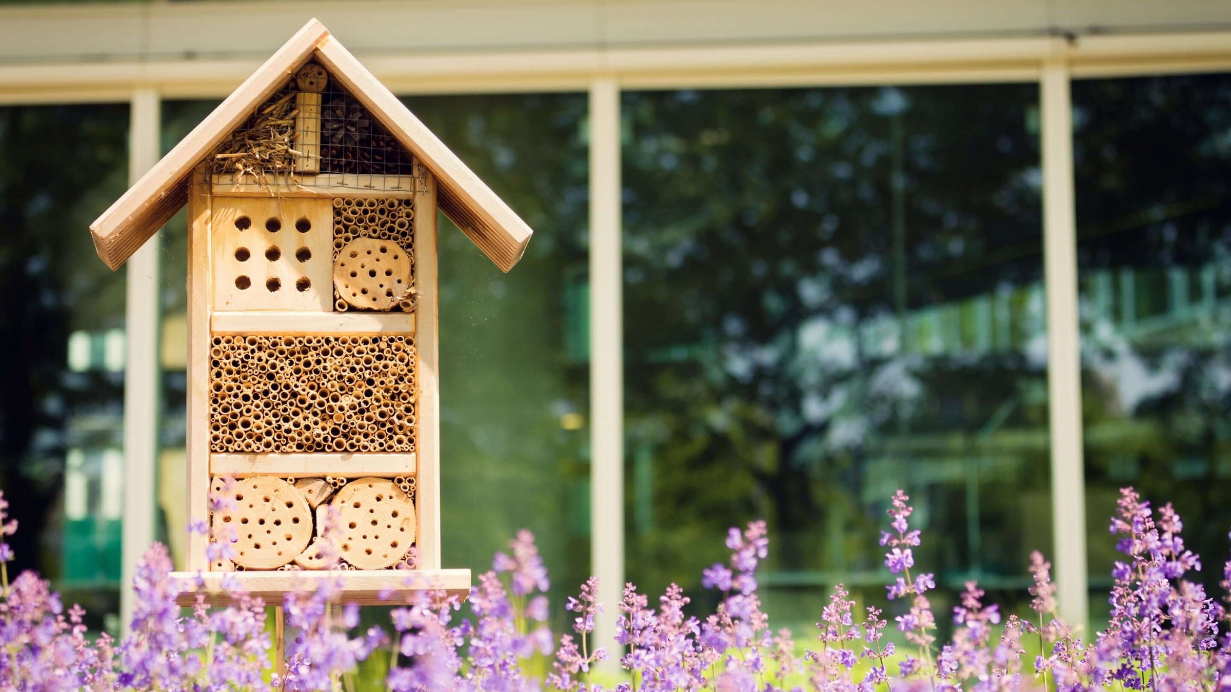 Biodiversité